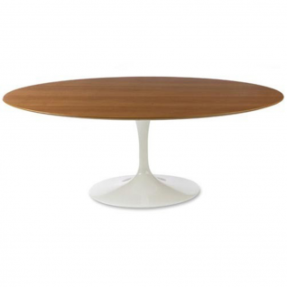 Mesa Saarinen